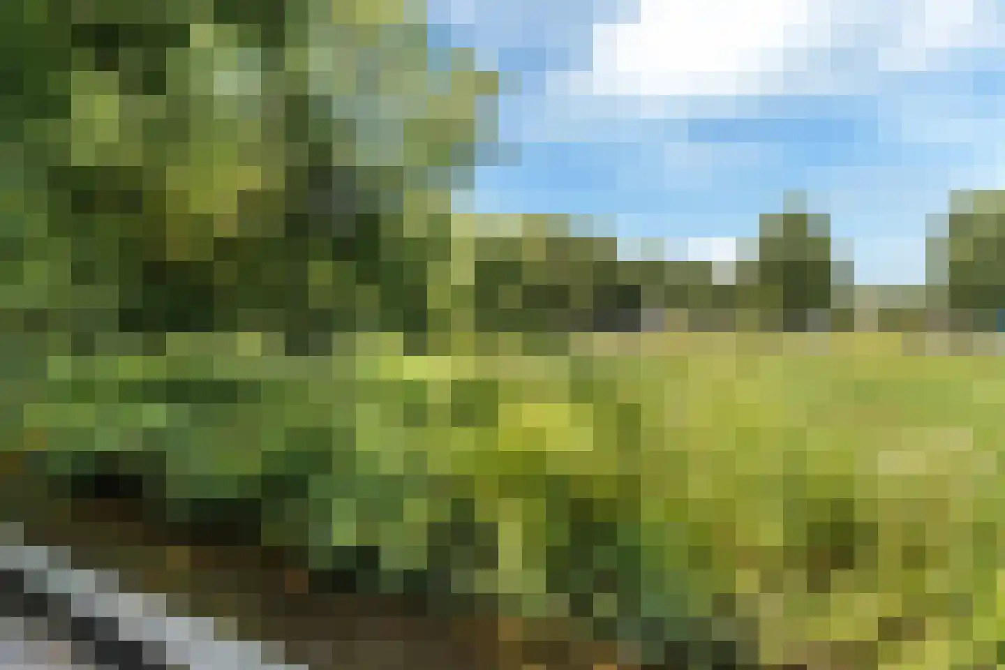 Louwer om'e tún 5 Terherne thumbnail 20