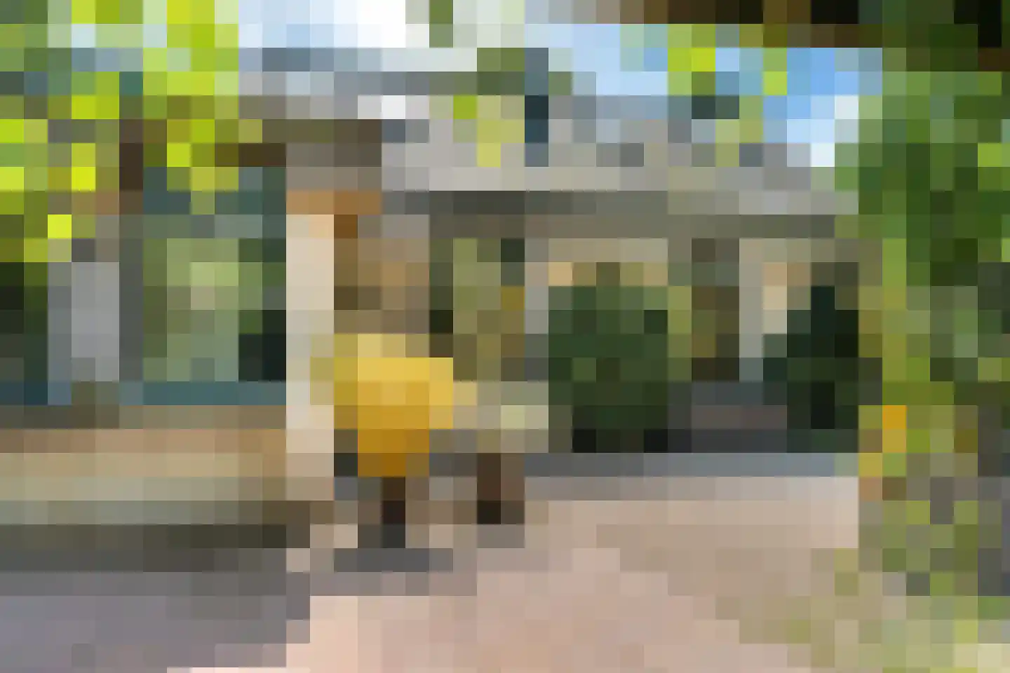 Louwer om'e tún 5 Terherne thumbnail 21