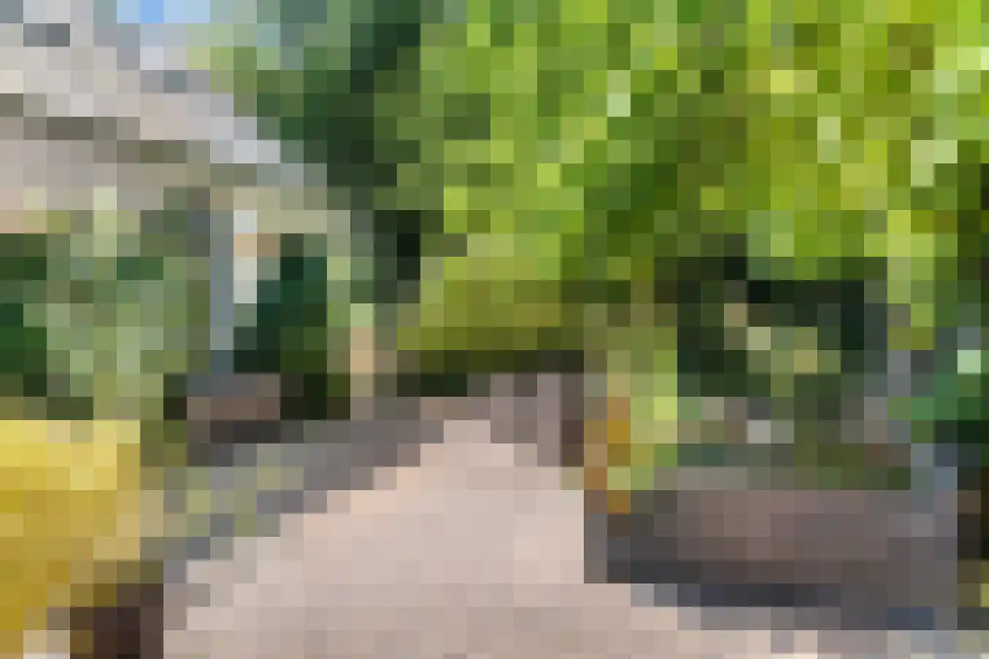Louwer om'e tún 5 Terherne thumbnail 22