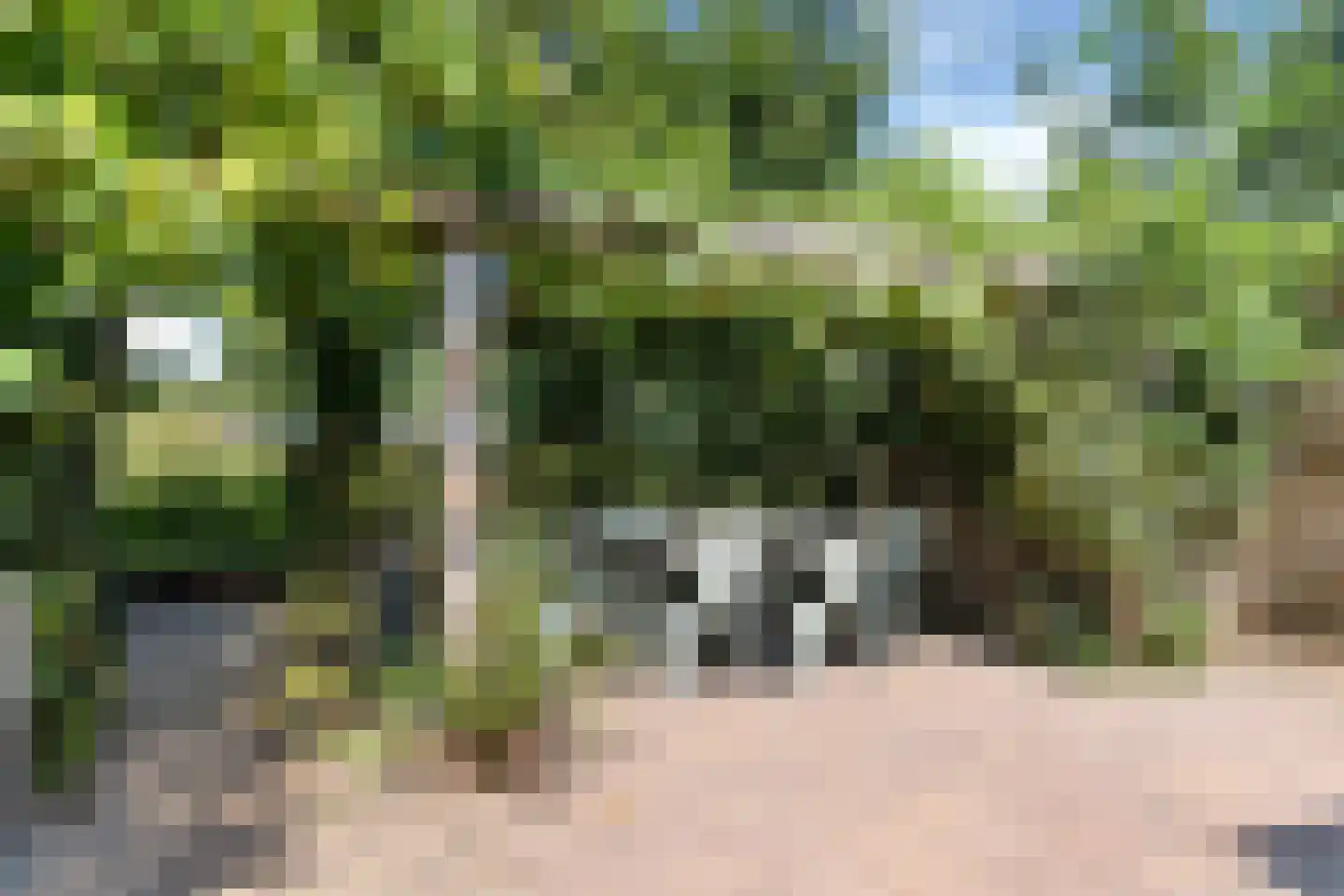 Louwer om'e tún 5 Terherne thumbnail 23
