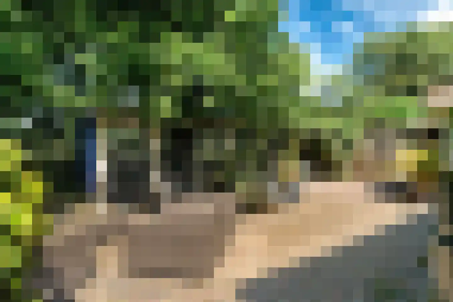 Louwer om'e tún 5 Terherne thumbnail 25