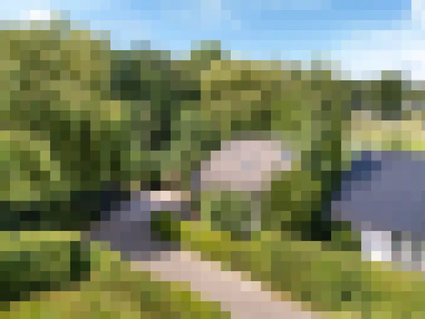 Louwer om'e tún 5 Terherne foto 3