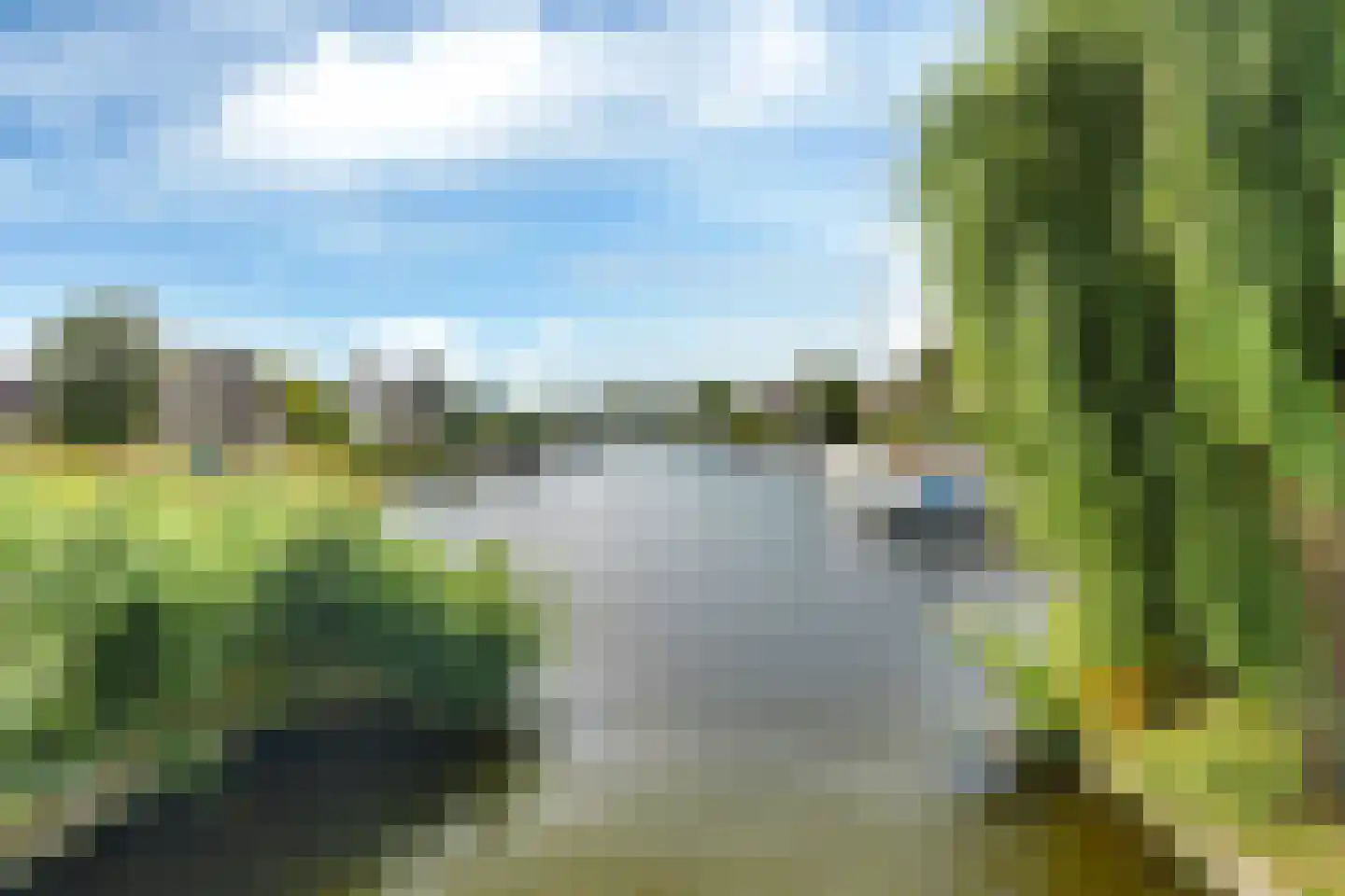 Louwer om'e tún 5 Terherne thumbnail 31
