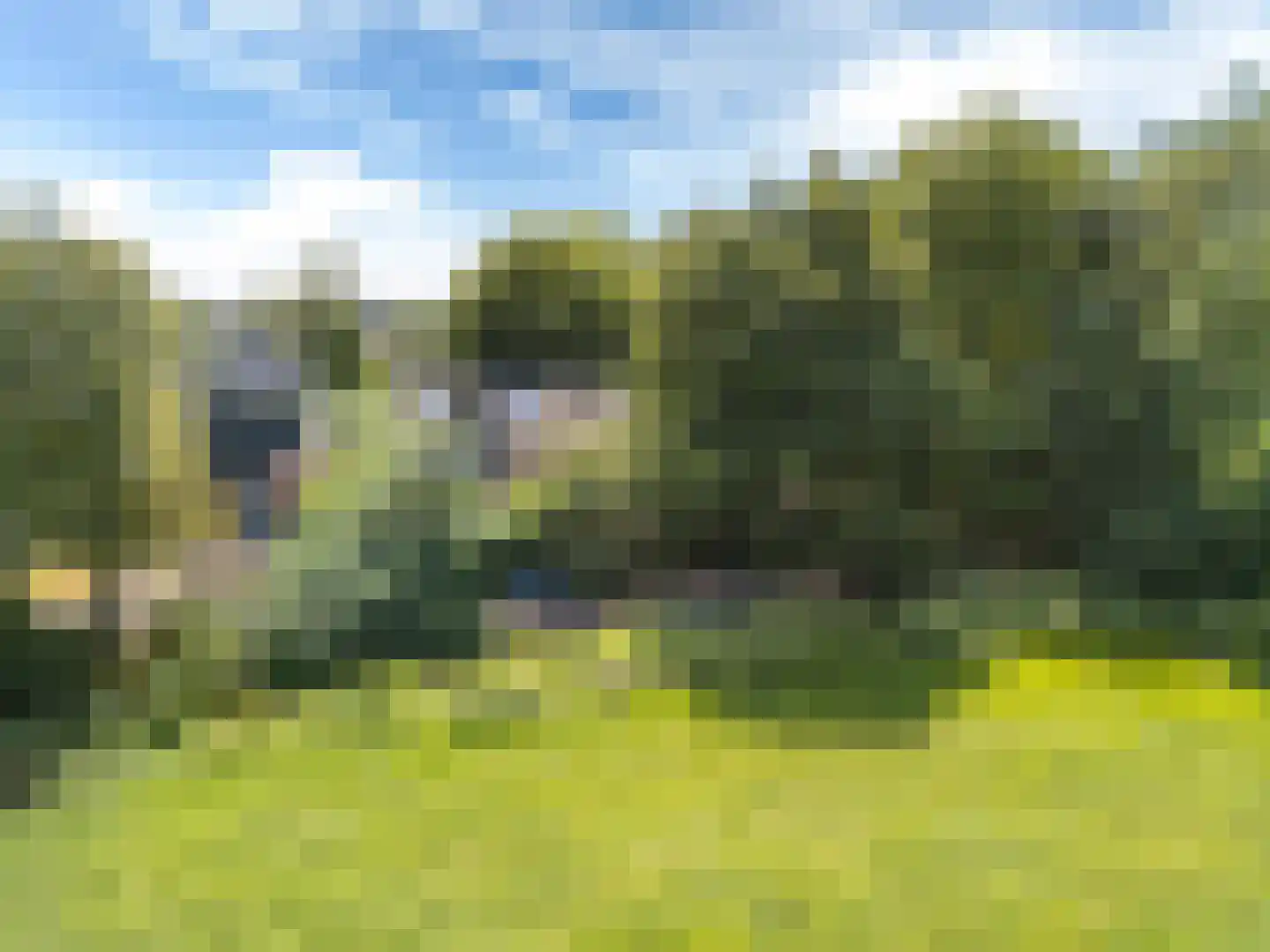 Louwer om'e tún 5 Terherne thumbnail 4