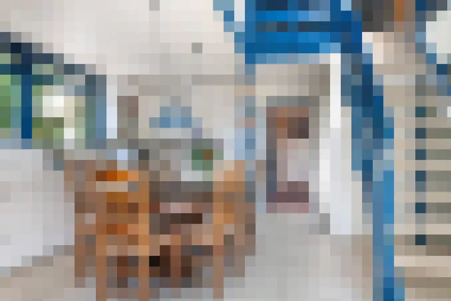 Louwer om'e tún 5 Terherne thumbnail 43