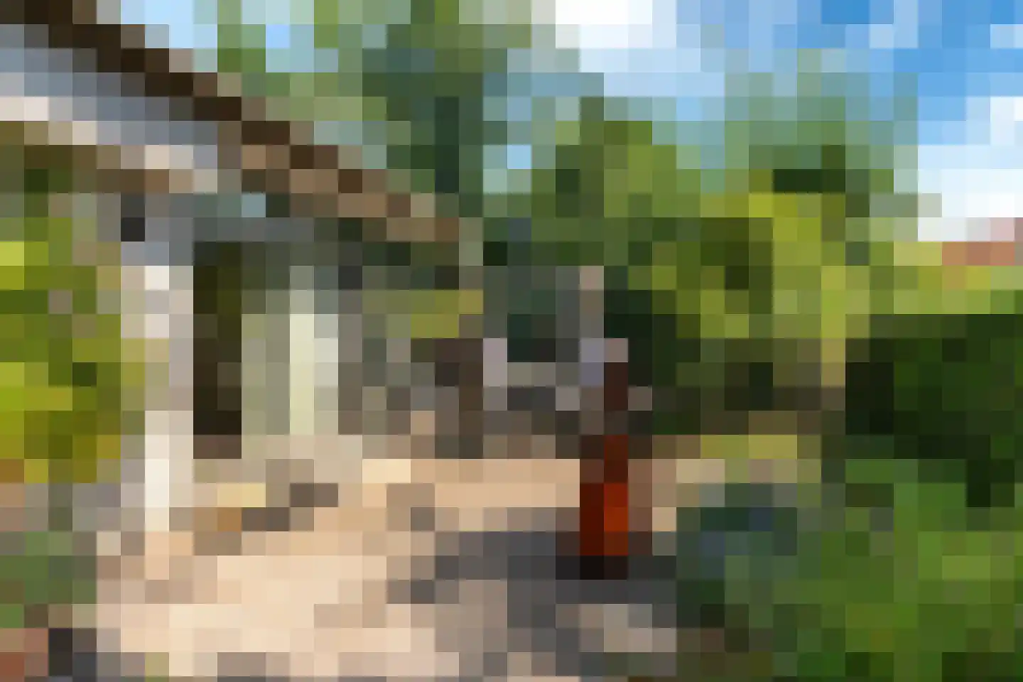 Louwer om'e tún 5 Terherne thumbnail 6