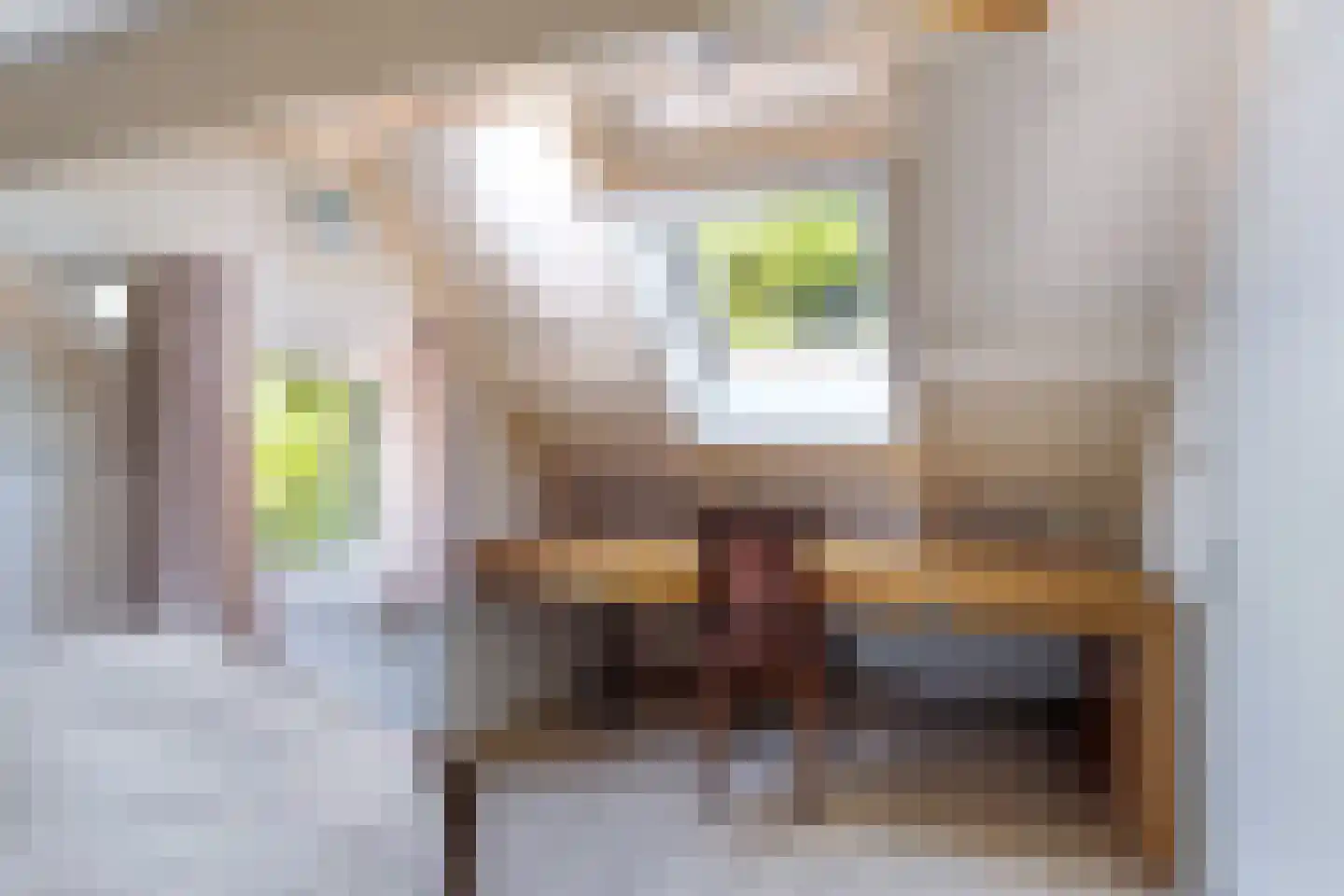 Louwer om'e tún 5 Terherne thumbnail 60