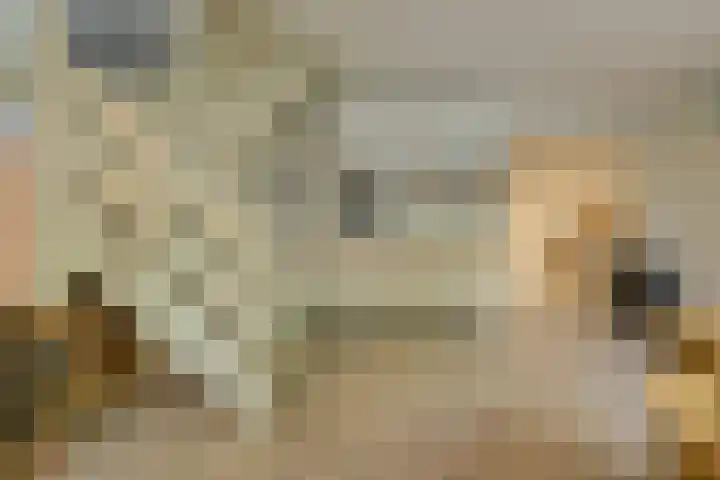 Louwersdonk 3 Breda thumbnail 12