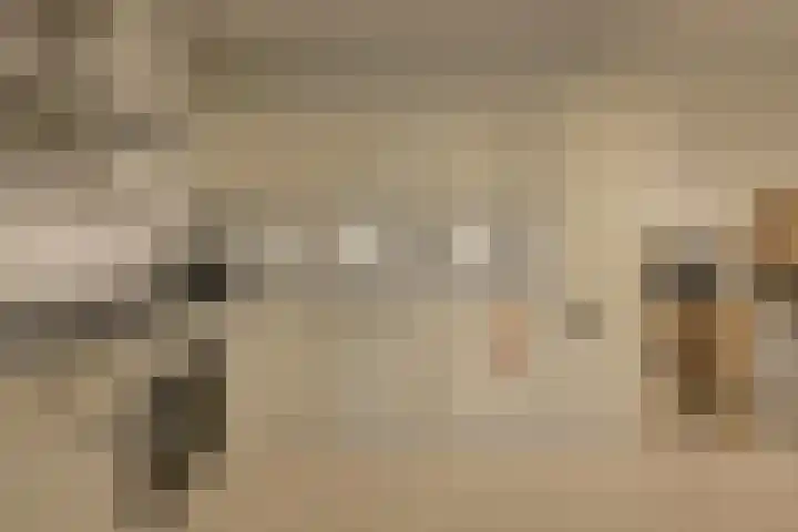Louwersdonk 3 Breda thumbnail 13