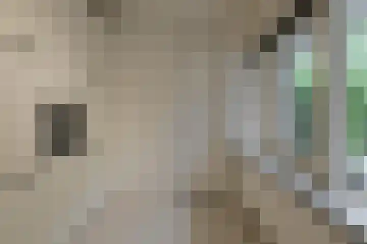 Louwersdonk 3 Breda thumbnail 16
