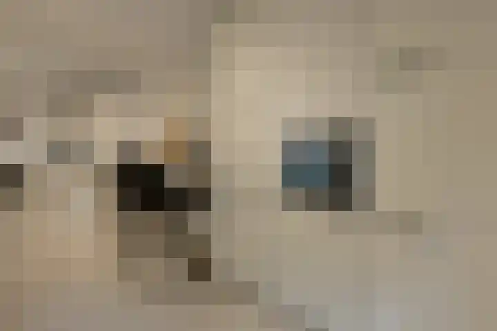 Louwersdonk 3 Breda thumbnail 17