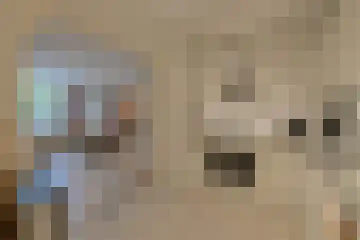 Louwersdonk 3 Breda thumbnail 20