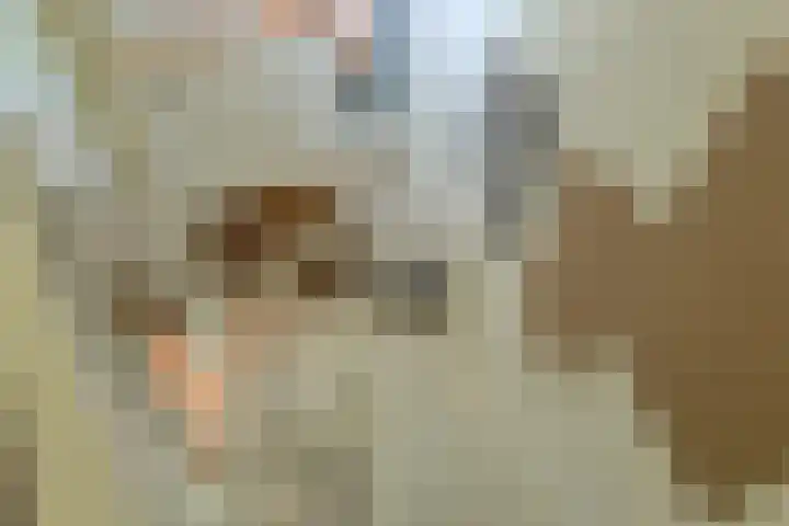 Louwersdonk 3 Breda thumbnail 28