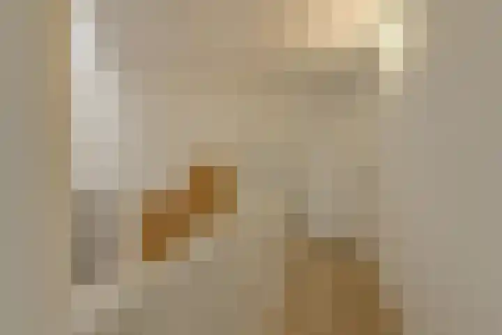 Louwersdonk 3 Breda thumbnail 36