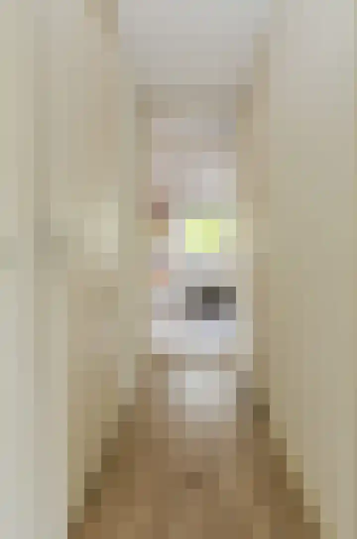 Louwersdonk 3 Breda thumbnail 37