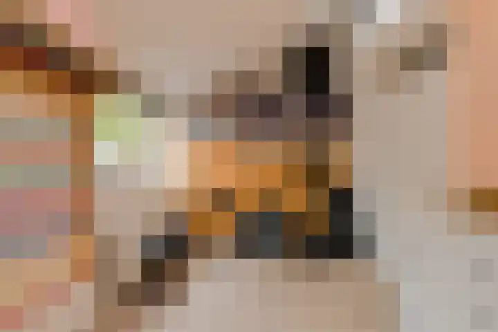 Louwersdonk 3 Breda thumbnail 44