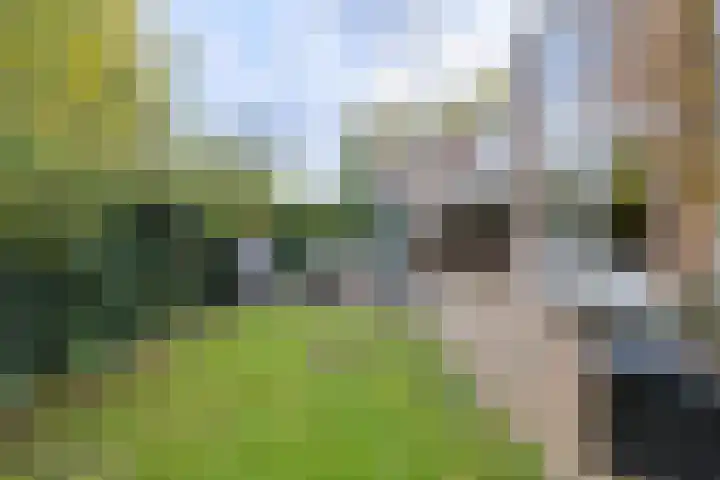 Louwersdonk 3 Breda thumbnail 49
