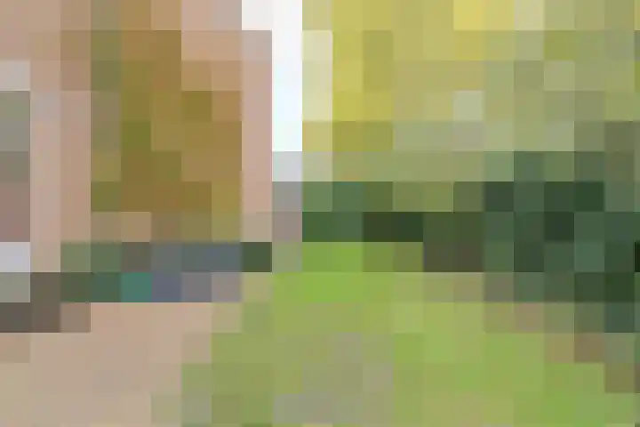 Louwersdonk 3 Breda thumbnail 53