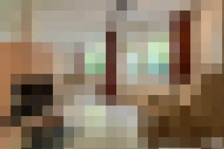 Louwersdonk 3 Breda thumbnail 6