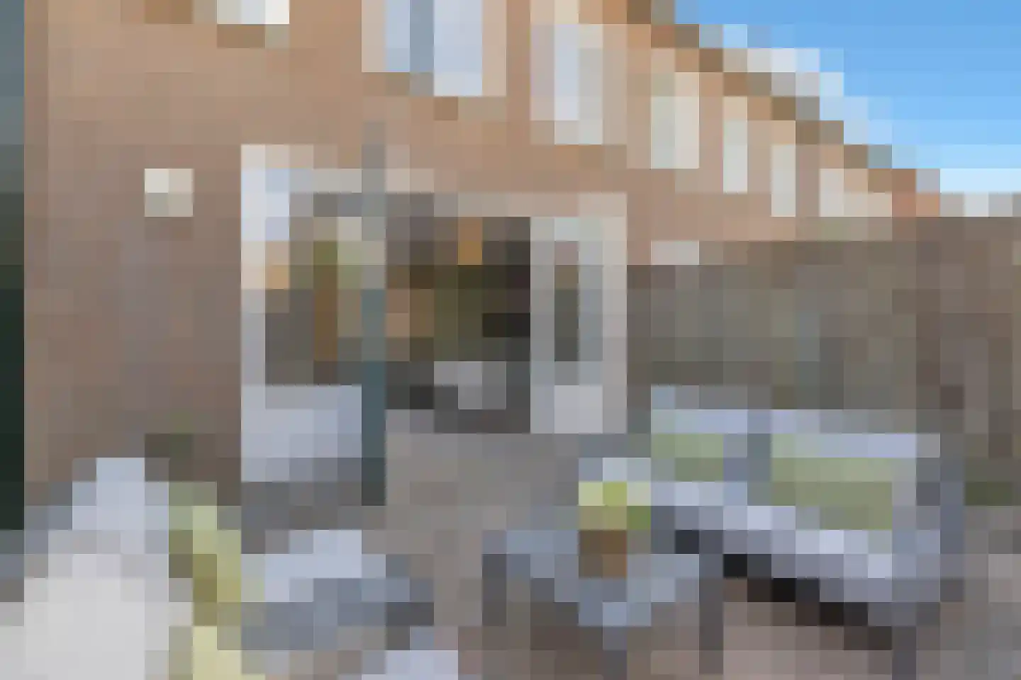 Louwerserf 13 Helmond thumbnail 29