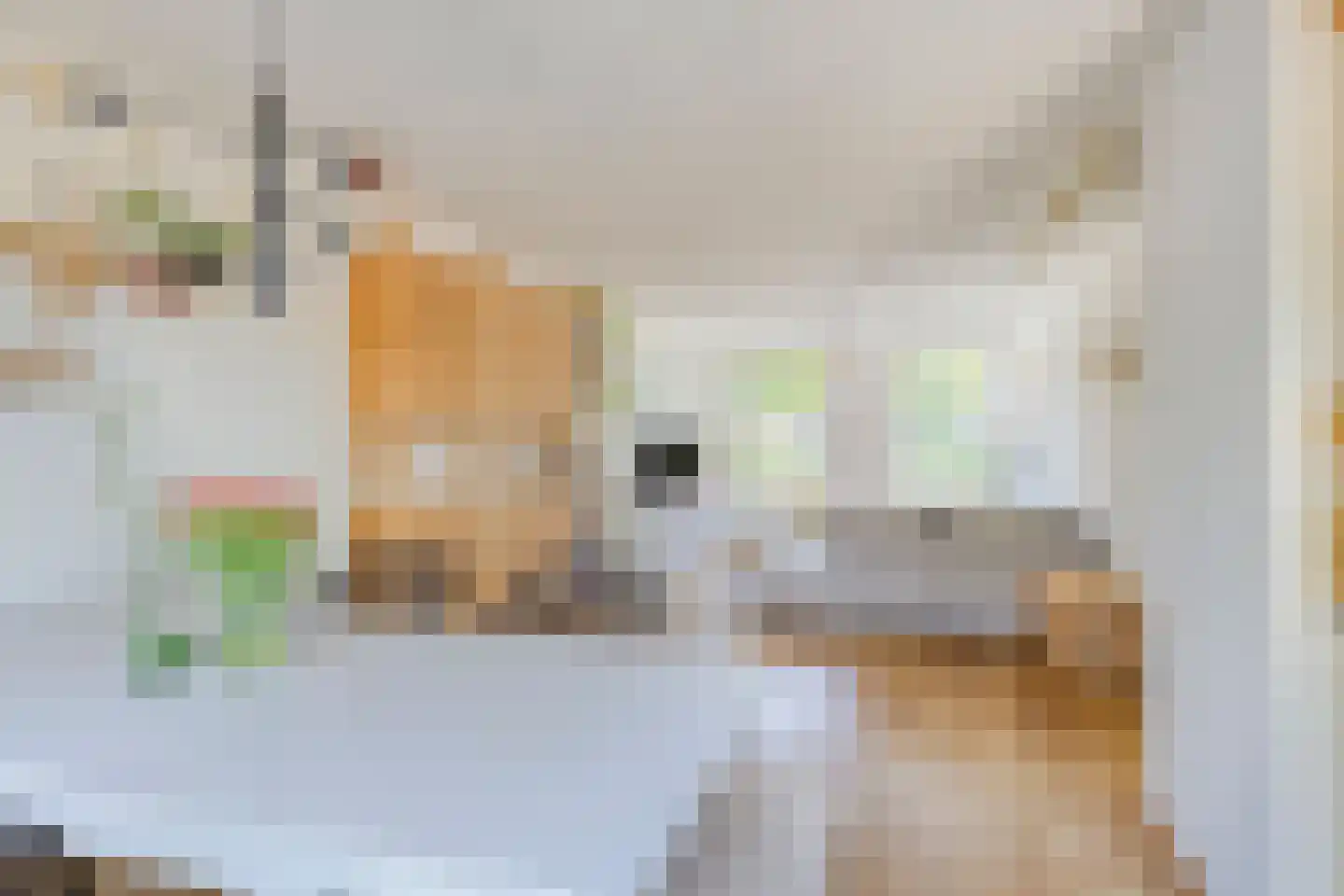 Louwerserf 3 Helmond thumbnail 16