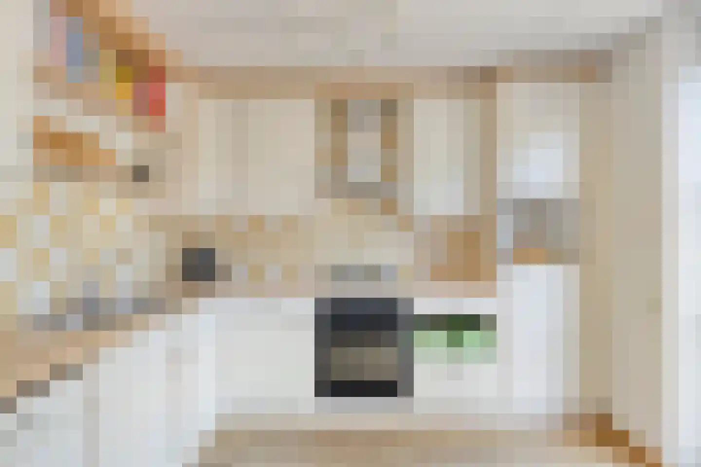 Louwerserf 3 Helmond thumbnail 17