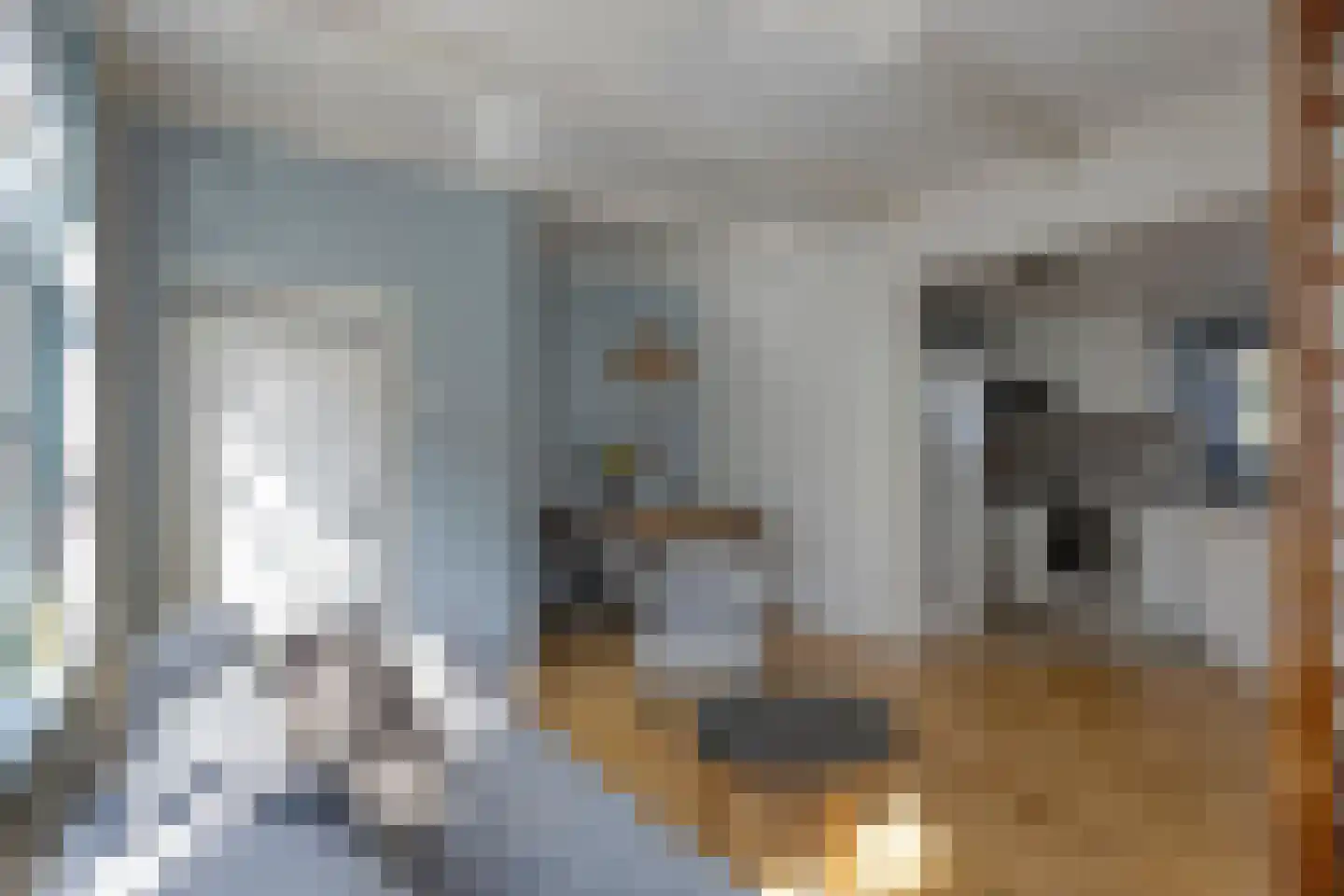 Louwestraat 25 Katwijk thumbnail 9