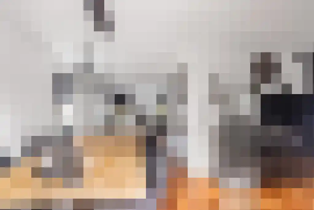 Louwewei 8 Jutrijp thumbnail 14