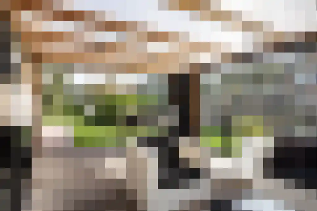 Louwewei 8 Jutrijp thumbnail 17