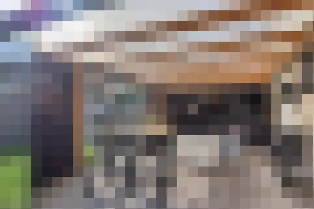 Louwewei 8 Jutrijp thumbnail 19