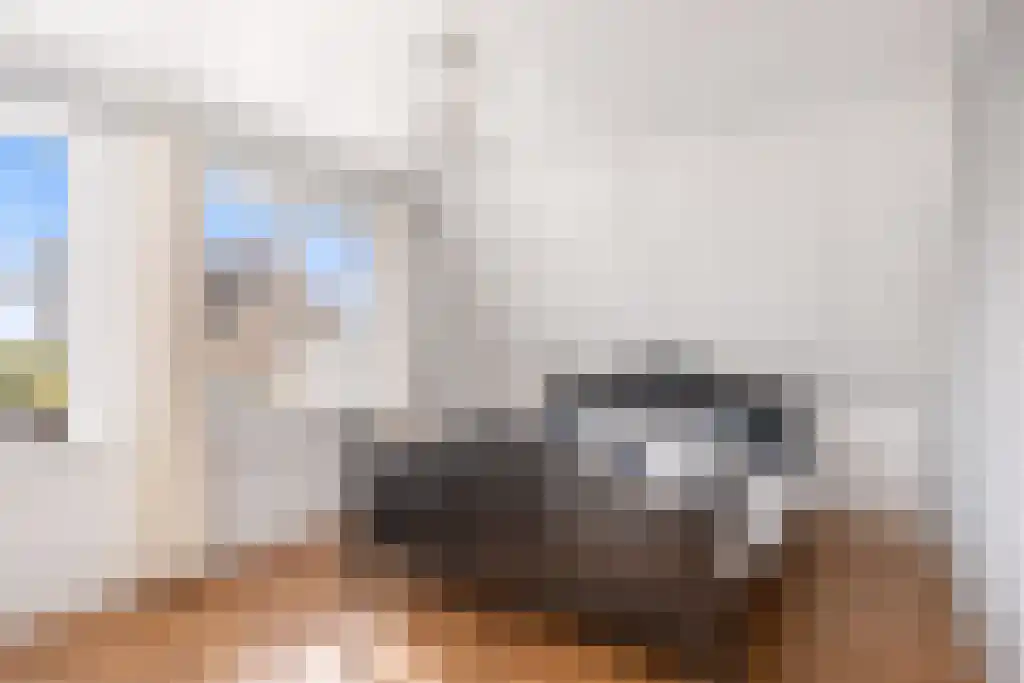 Louwewei 8 Jutrijp thumbnail 30