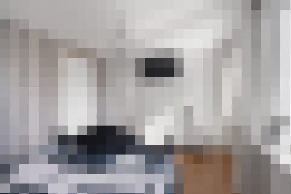 Louwewei 8 Jutrijp thumbnail 31