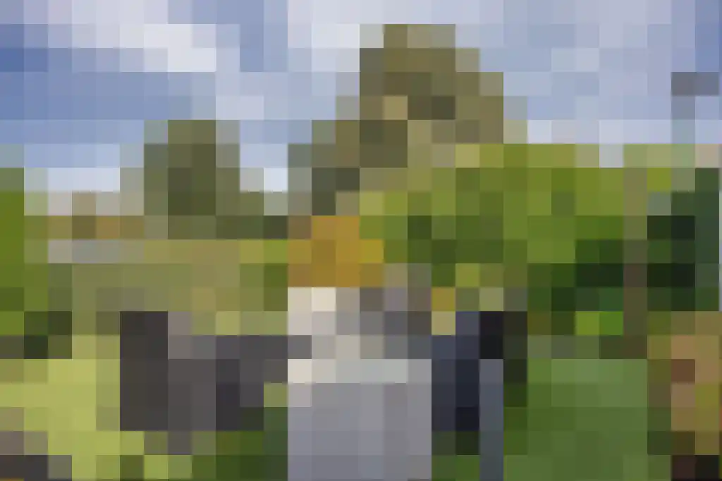 Louwewei 8 Jutrijp thumbnail 36
