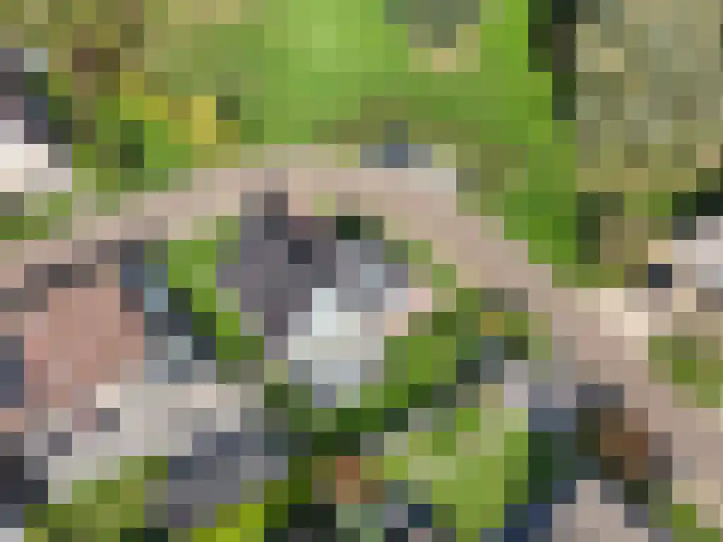 Louwewei 8 Jutrijp thumbnail 42