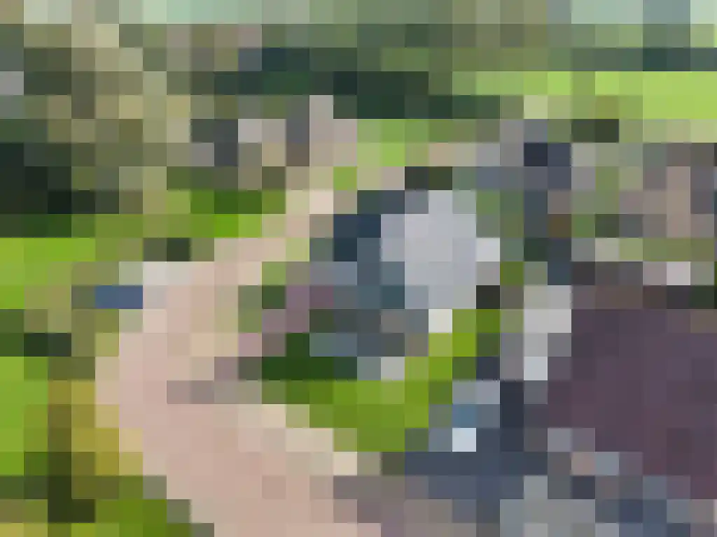 Louwewei 8 Jutrijp thumbnail 48