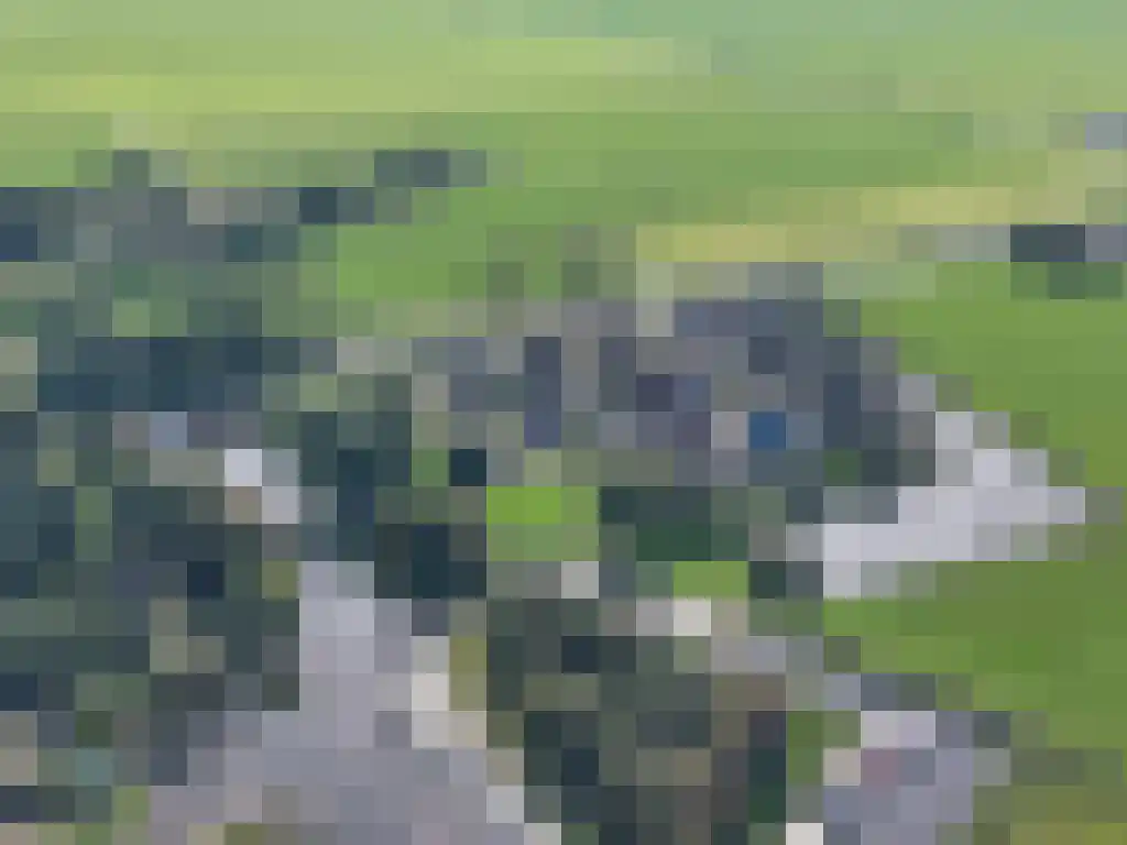 Louwewei 8 Jutrijp thumbnail 5
