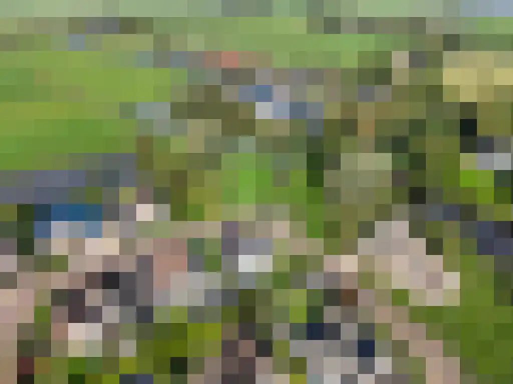 Louwewei 8 Jutrijp thumbnail 50