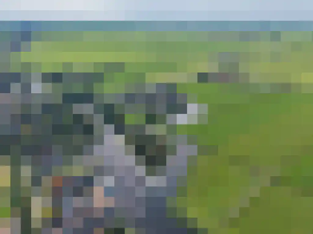 Louwewei 8 Jutrijp thumbnail 51