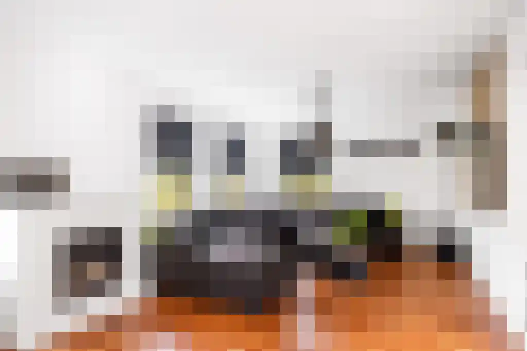 Louwewei 8 Jutrijp thumbnail 6