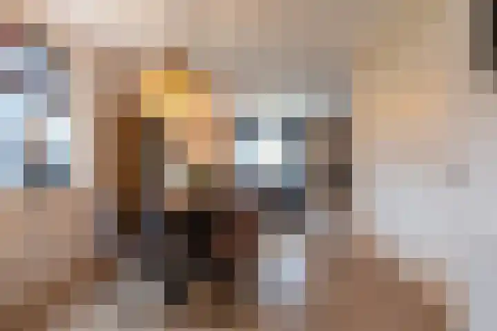 Louwrens Penninghof 15 Waardhuizen thumbnail 12