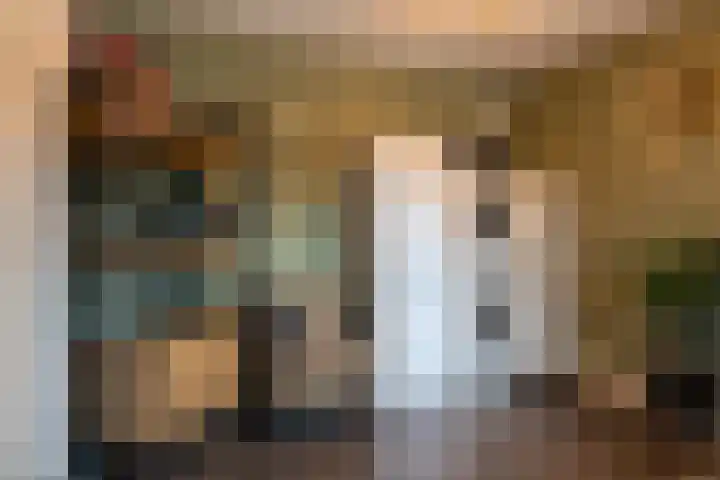 Louwrens Penninghof 15 Waardhuizen thumbnail 13