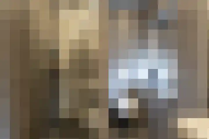 Louwrens Penninghof 15 Waardhuizen thumbnail 22