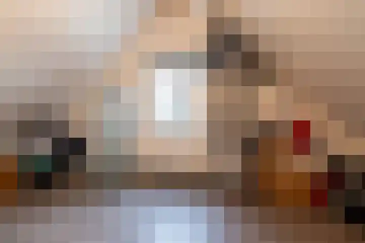 Louwrens Penninghof 15 Waardhuizen thumbnail 25
