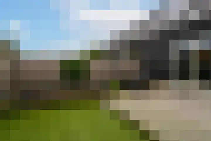 Louwrens Penninghof 15 Waardhuizen thumbnail 27
