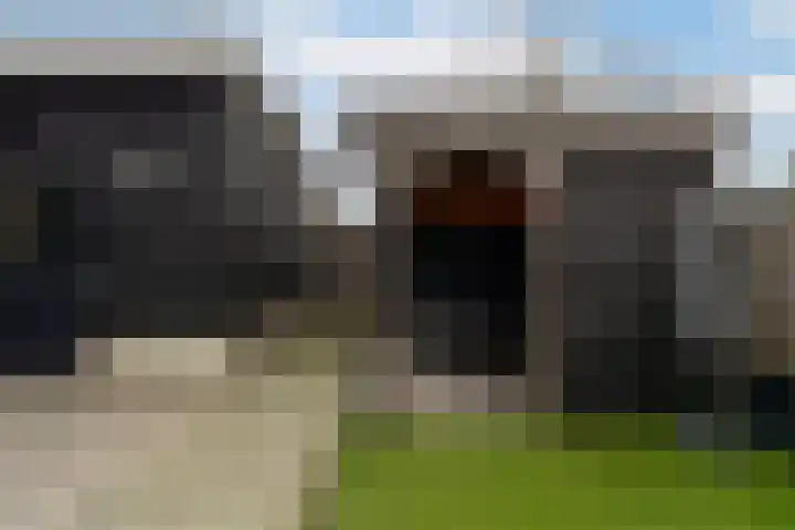 Louwrens Penninghof 15 Waardhuizen thumbnail 30