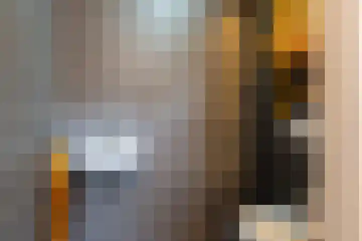 Louwrens Penninghof 15 Waardhuizen thumbnail 5