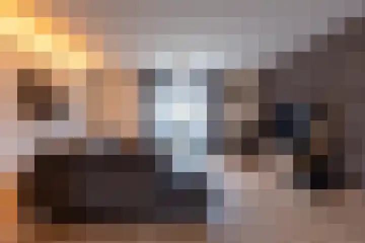Louwrens Penninghof 15 Waardhuizen thumbnail 6