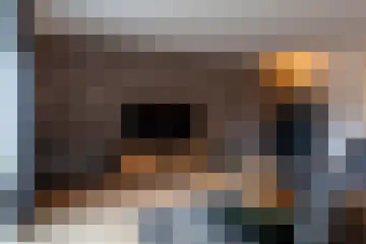 Louwrens Penninghof 15 Waardhuizen thumbnail 7