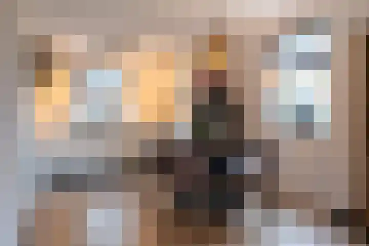 Louwrens Penninghof 15 Waardhuizen thumbnail 9