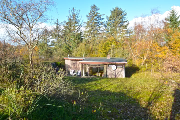 Louwvlakte 8 in Schiermonnikoog photo